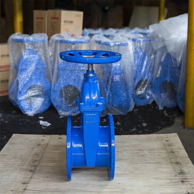 Van cổng có độ đàn hồi DN50 Sắt dẻo Mặt bích PN16 Lớp phủ epoxy kép