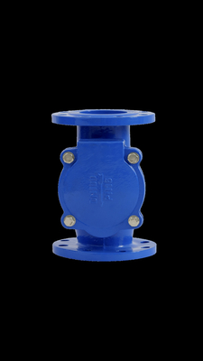 GGG50 Van kiểm tra ghế cao su thoát nước PN16 PN10 Van kiểm tra xoay bằng gang