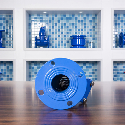 QT450 Bộ lọc kiểu Y có bích GGG50 Bộ lọc gang công nghiệp DN600