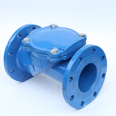 H44X-10 Van kiểm tra xoay bằng gang Van kiểm tra mặt bích cao su dạng Nodular