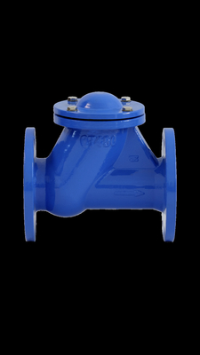 Van kiểm tra bi BS DIN Ghế cao su GGG50 PN16 QT450 Nước thải Khí dầu
